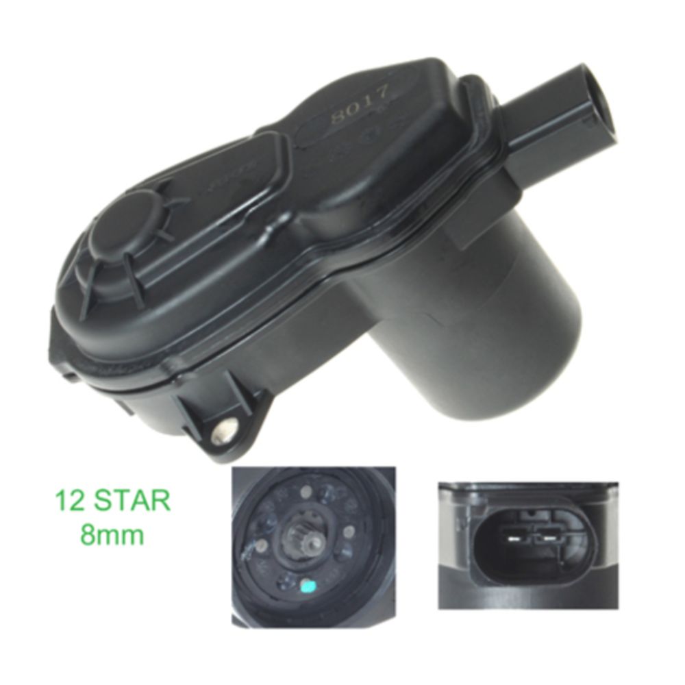 Jarrusatula 23-00922