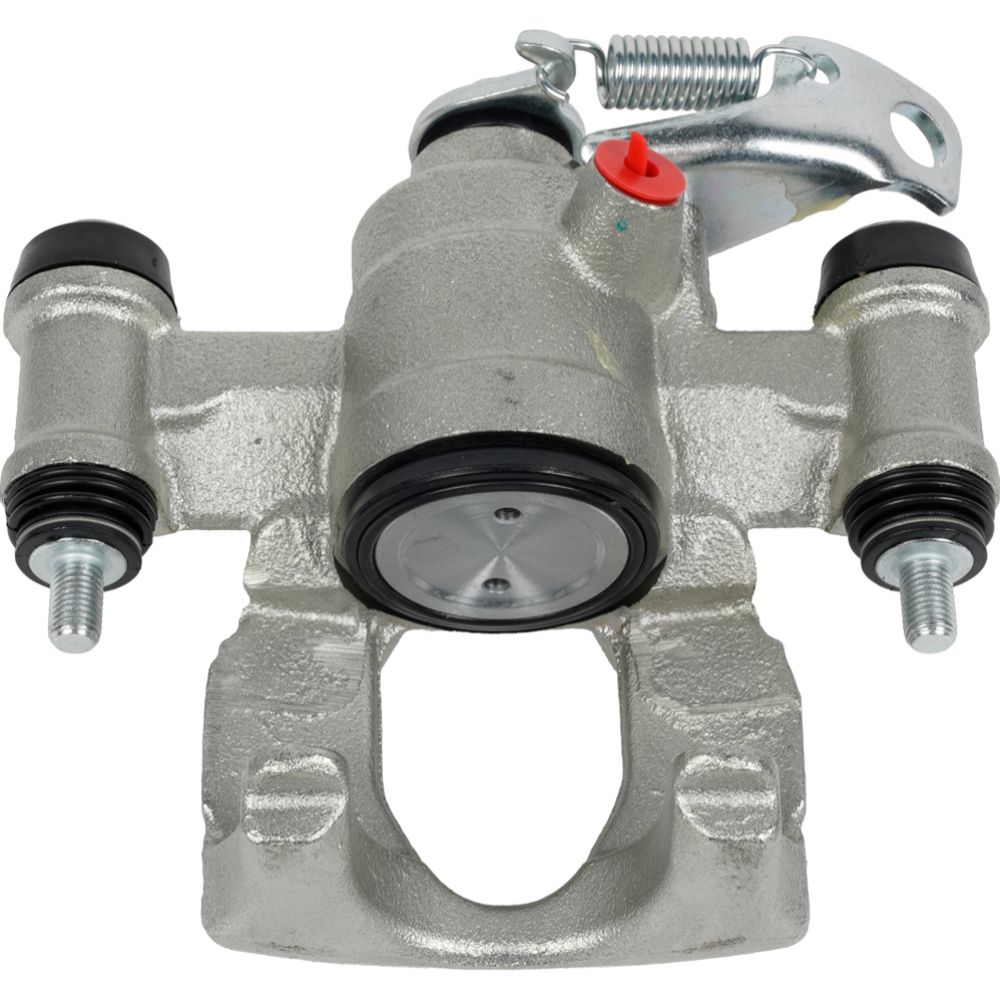 Jarrusatula 23-02683