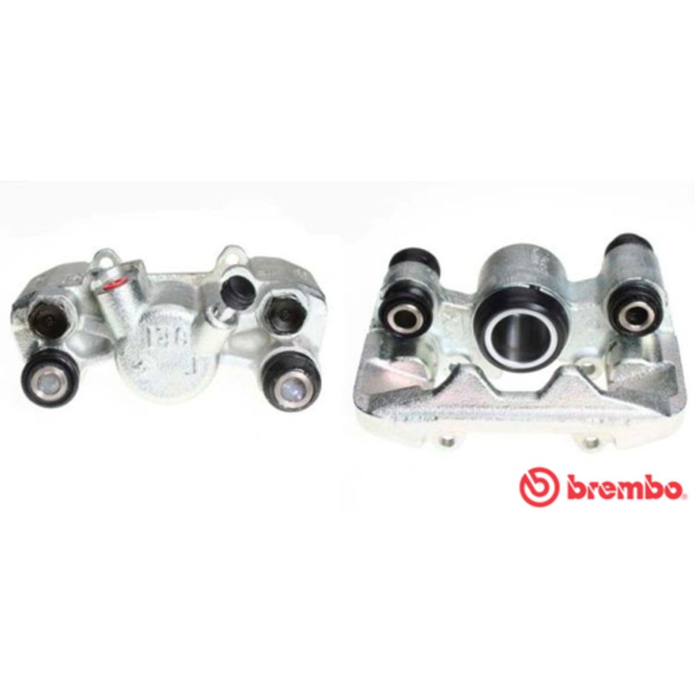 Jarrusatula 23-01526