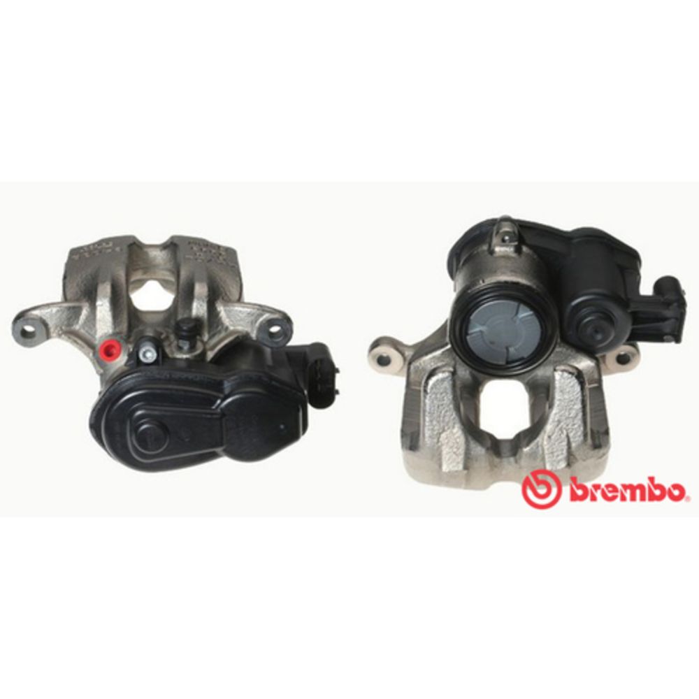 Jarrusatula 23-00909