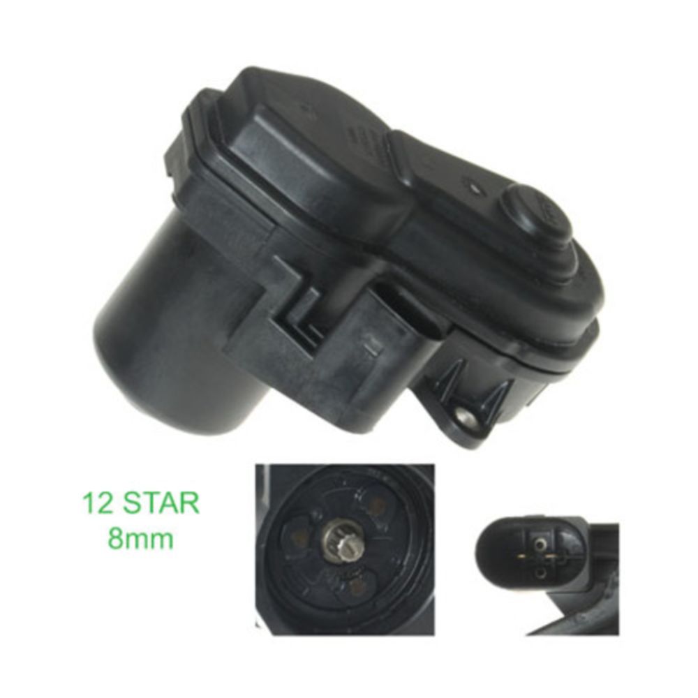 Jarrusatula 23-00946