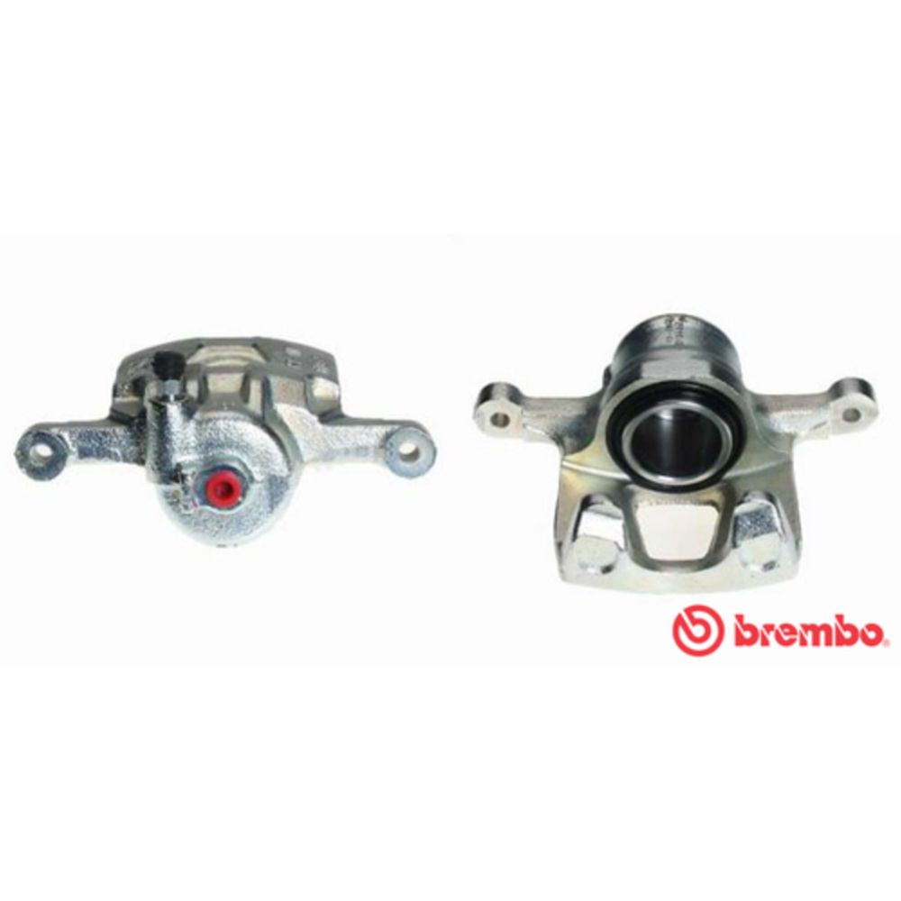 Jarrusatula 77-14053