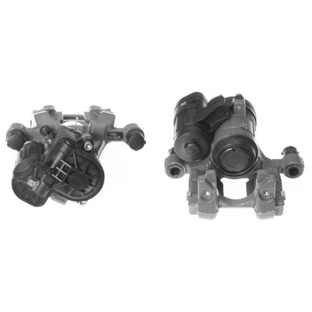 Jarrusatula 23-00283