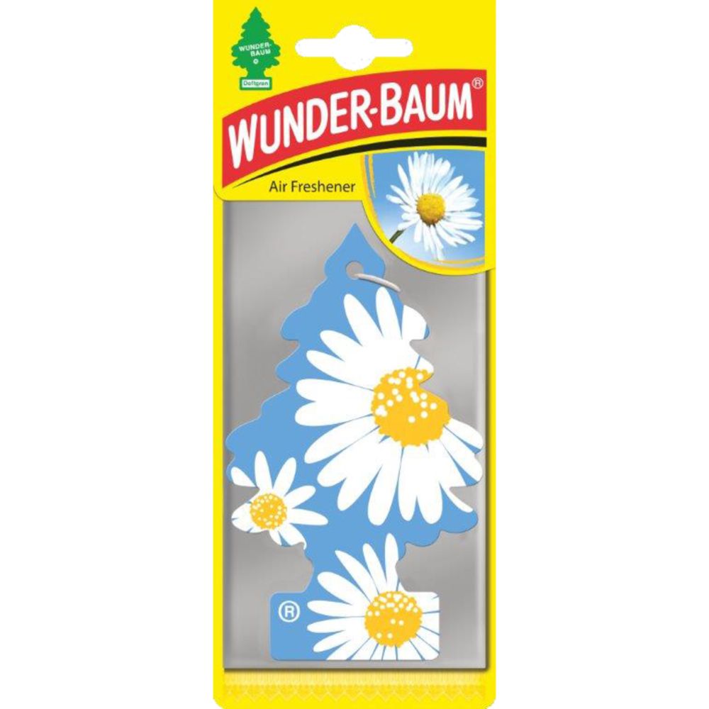 Wunder-Baum lõhnakuusk, Daisy Flower