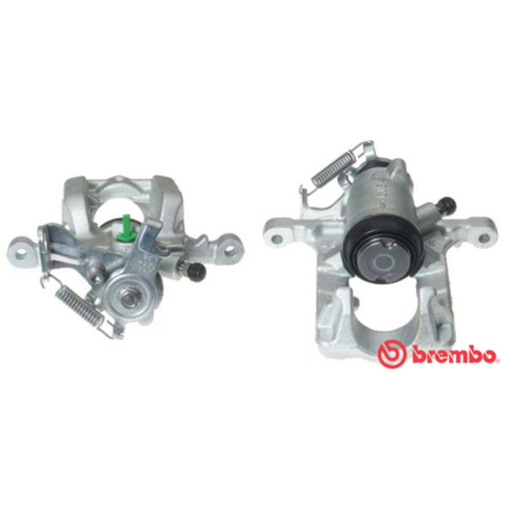 Jarrusatula 23-00519