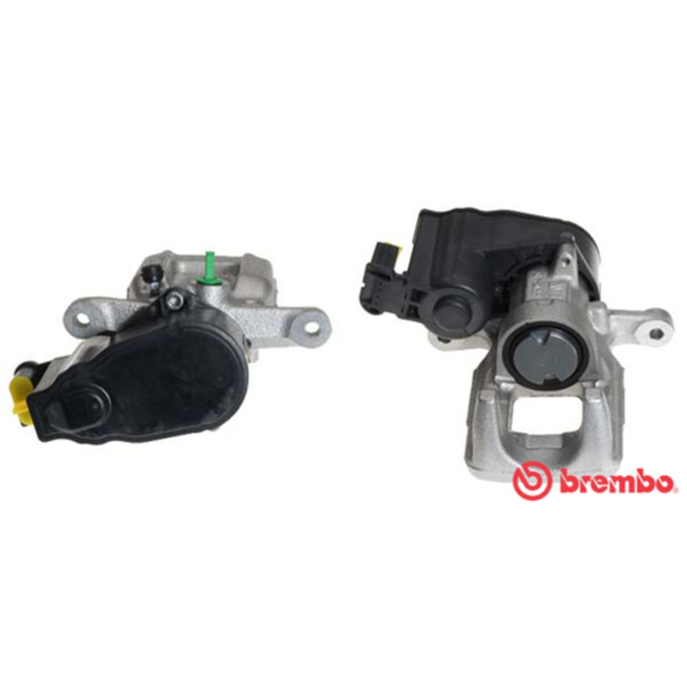 Jarrusatula 23-00917