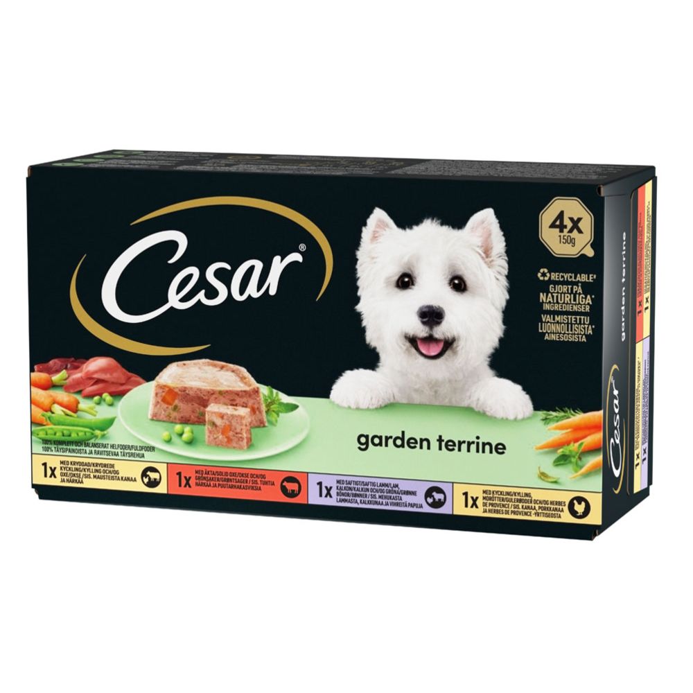 Cesar country kitchen deals