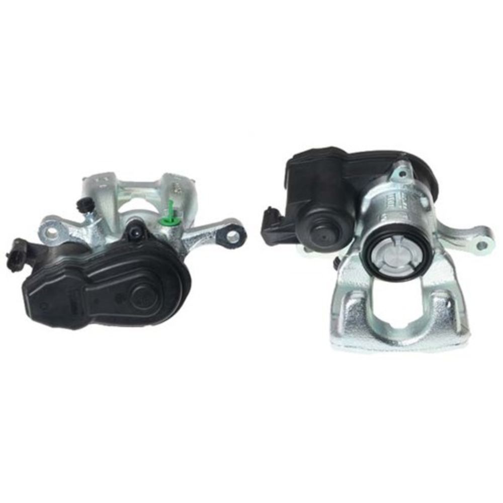 Jarrusatula 23-03081