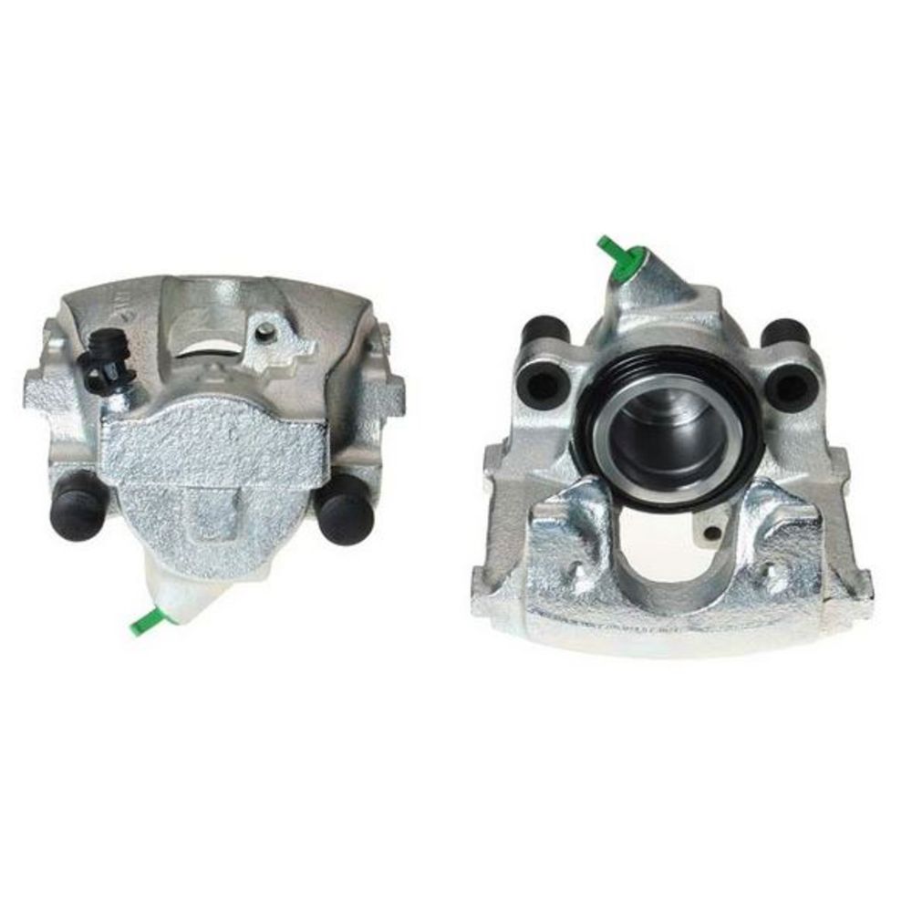 Jarrusatula 23-00103