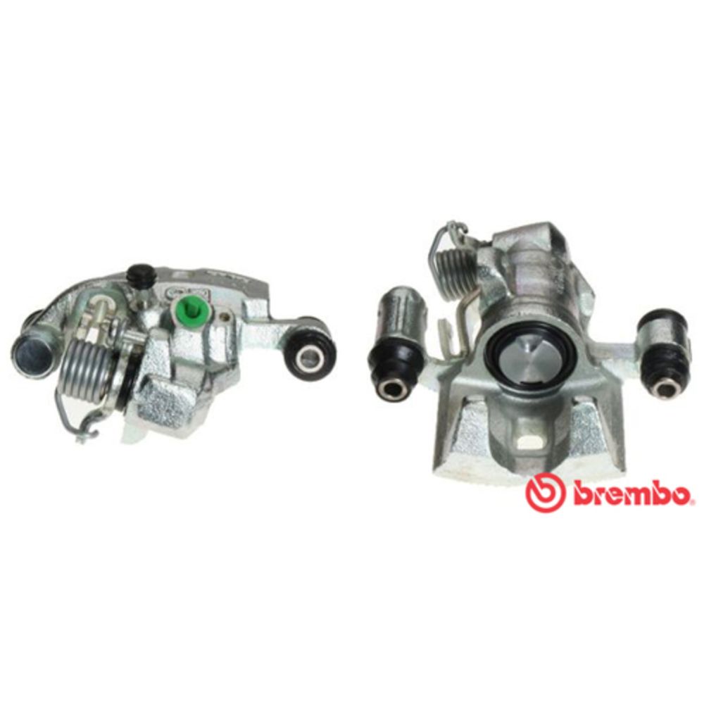 Jarrusatula 23-00885