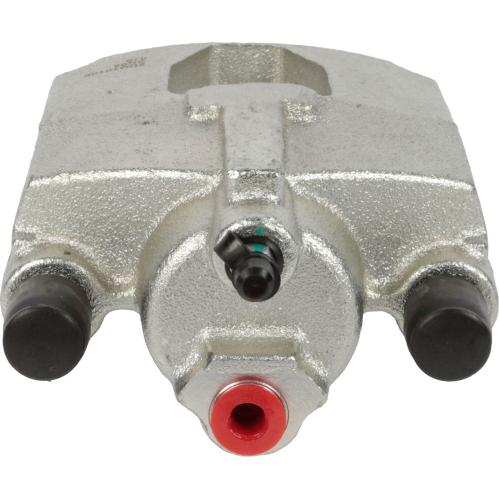 Jarrusatula 23-00656