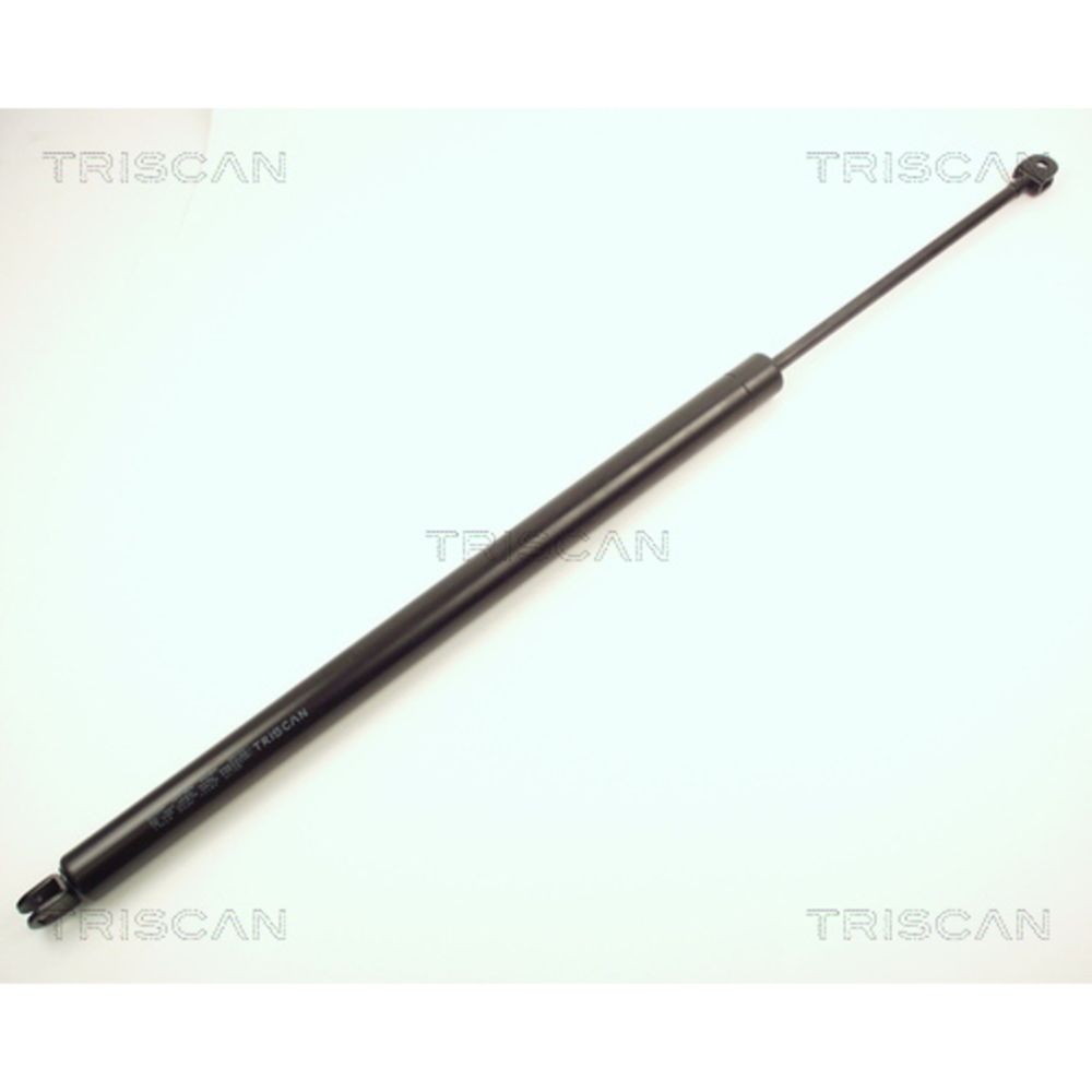 Tavaratilan kaasujousi 12-8979