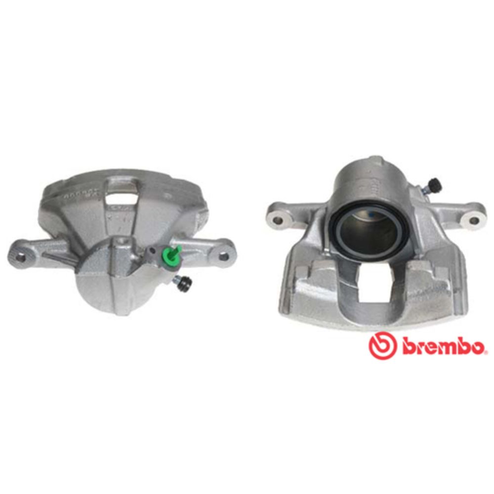 Jarrusatula 23-01151