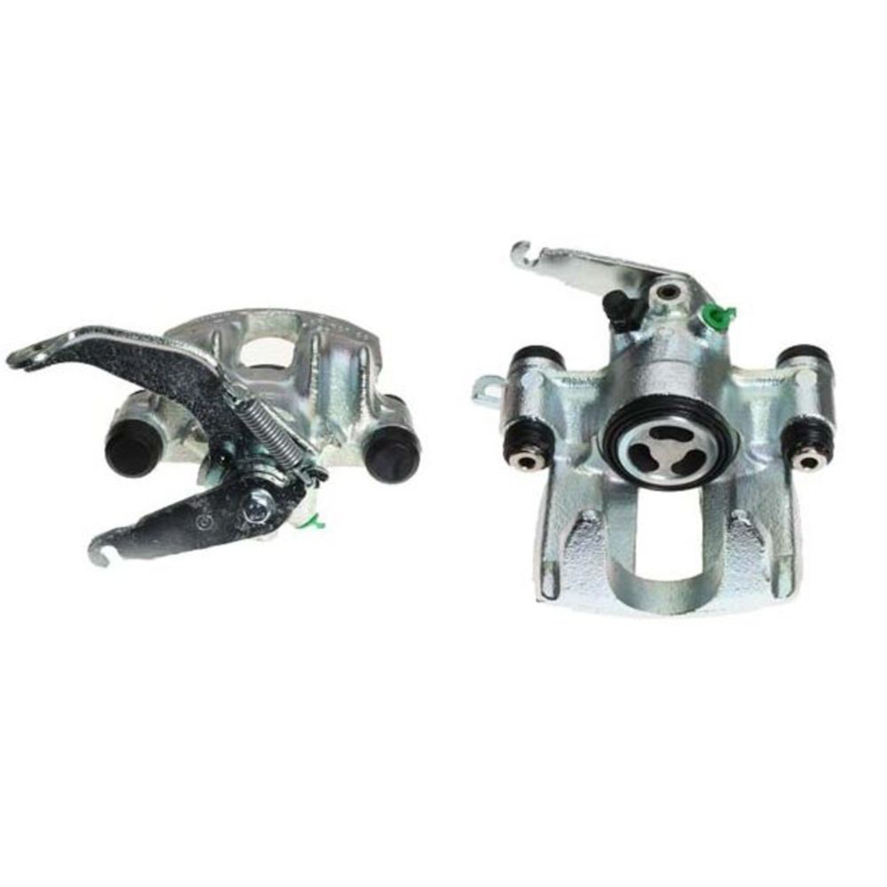 Jarrusatula 23-00265