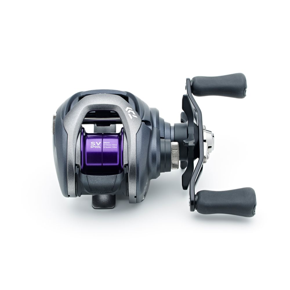 Daiwa 20 Prorex PE SV TW 100HS multirulle