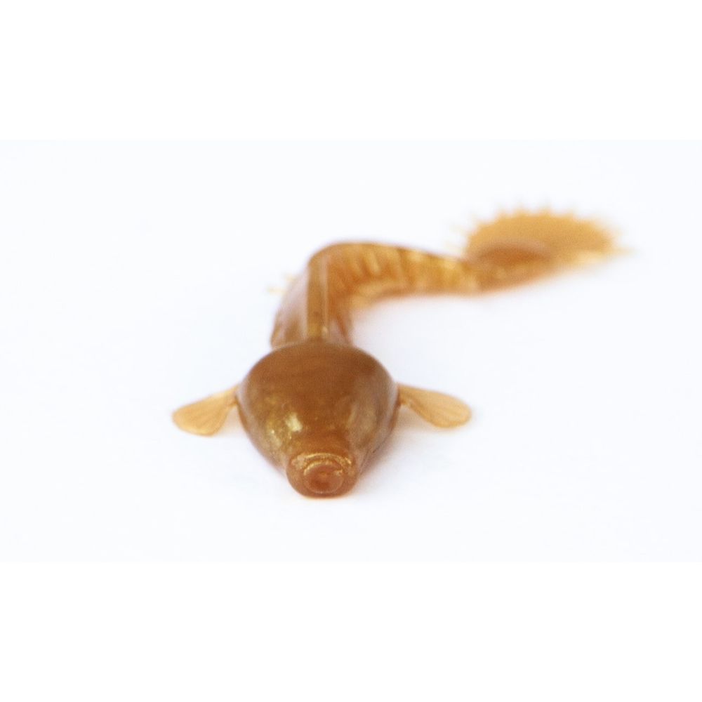 Monkey Fry 7 cm 16 st.