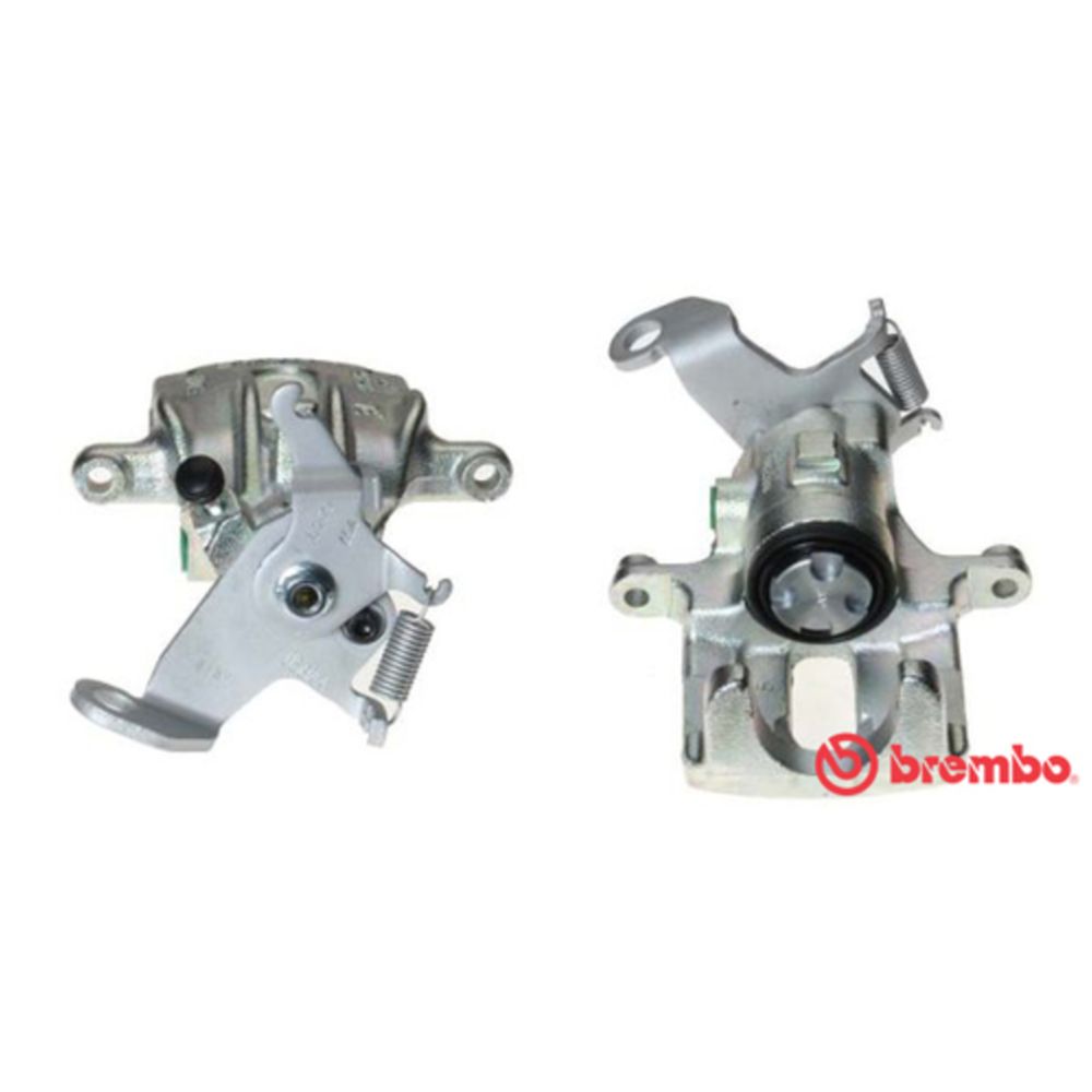 Jarrusatula 23-02032