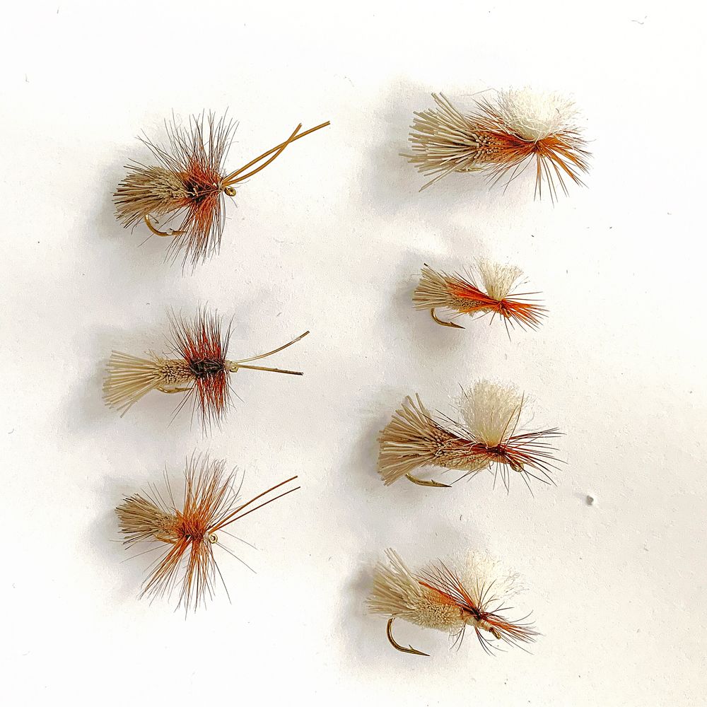 MTX Fishing Caddis 1 lendõngeputukate komplekt, 7 tk