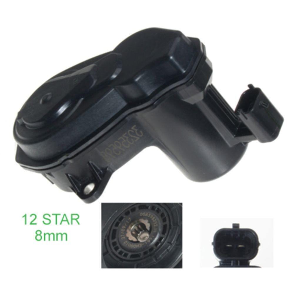 Jarrusatula 23-03081