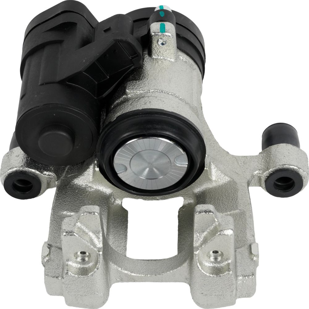 Jarrusatula 23-02720