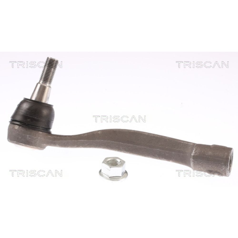 Raidetangonpää 17-05489