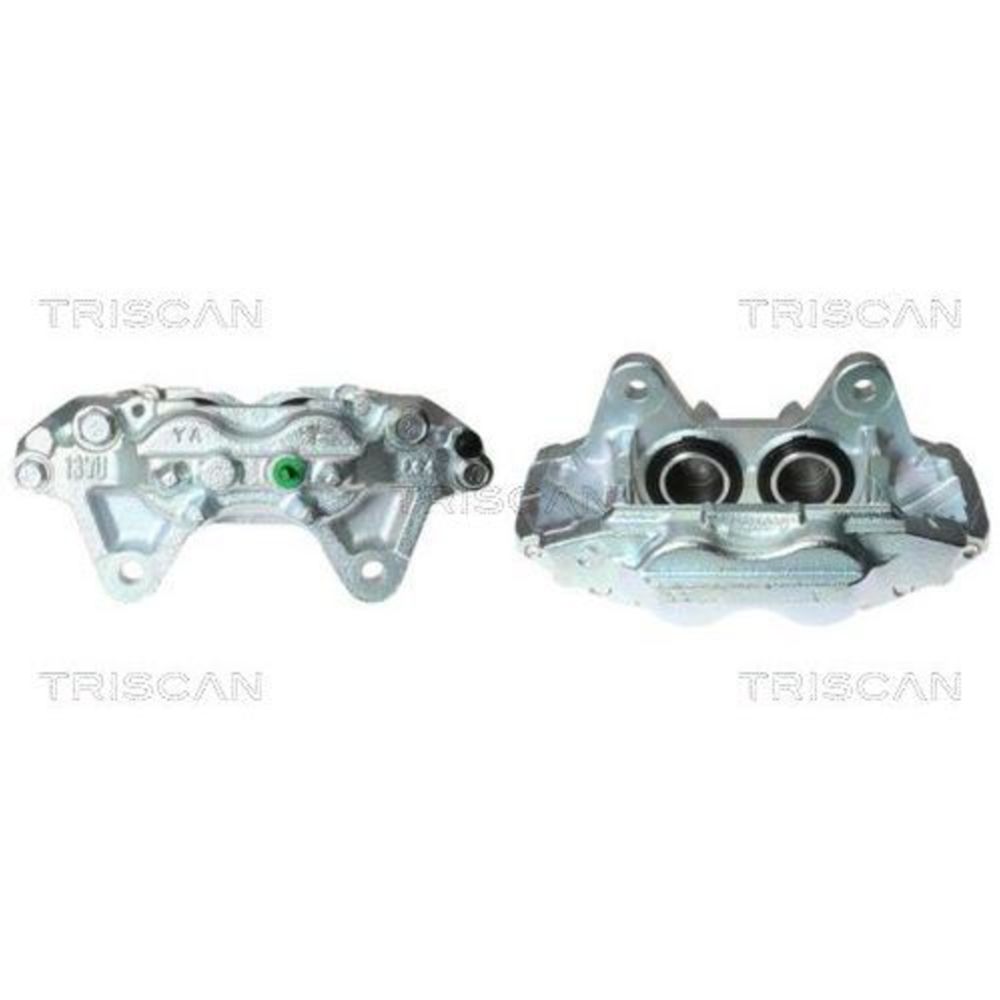 Jarrusatula 23-00419