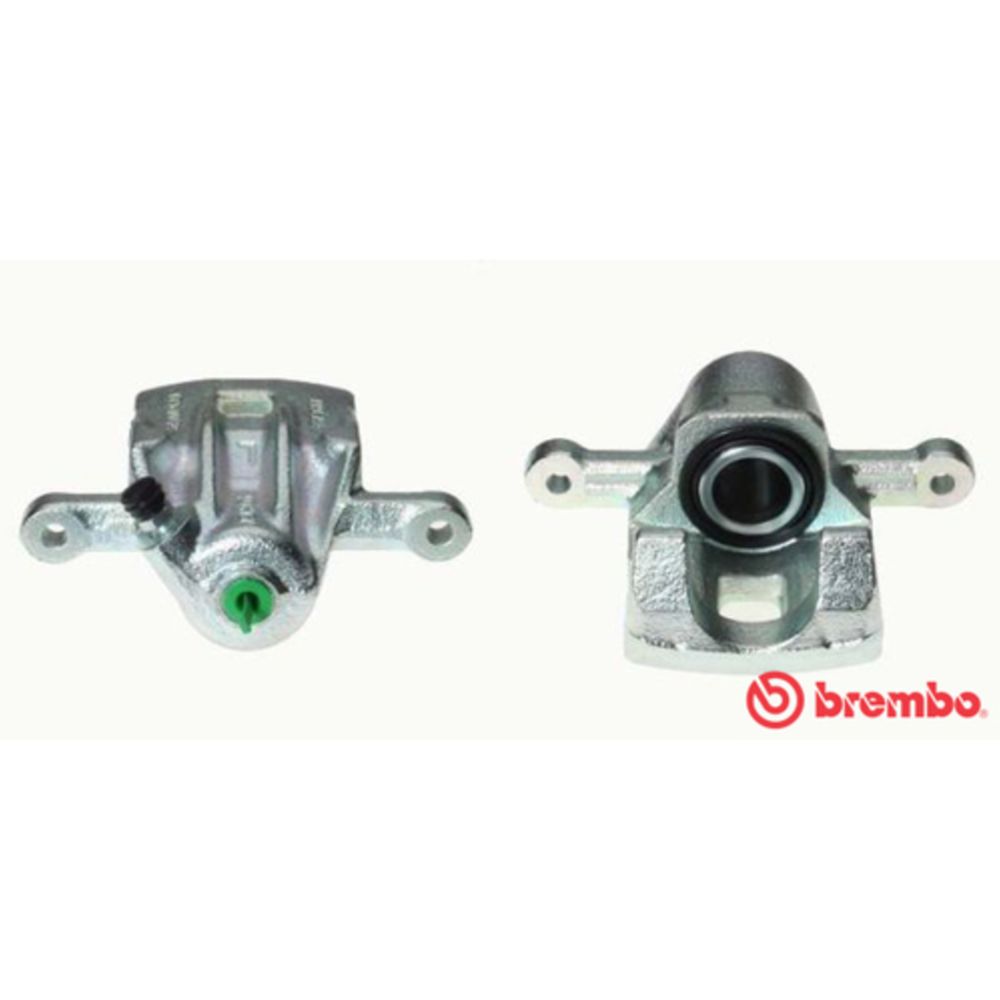 Jarrusatula 23-01888