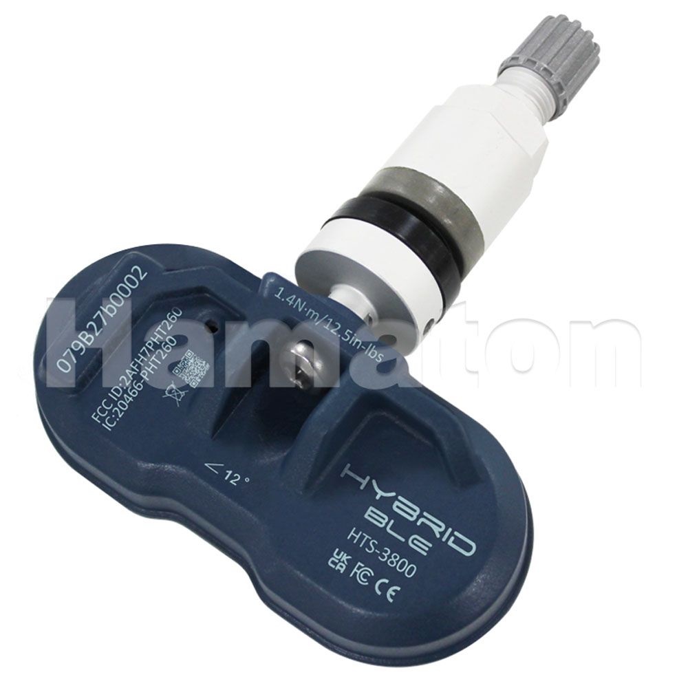 Hamaton EU-Pro Hybrid BLE TPMS sensor (Clamp-In), Tesla Bluetooth, silver