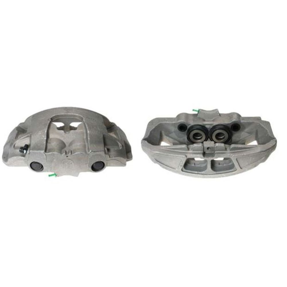 Jarrusatula 23-00332