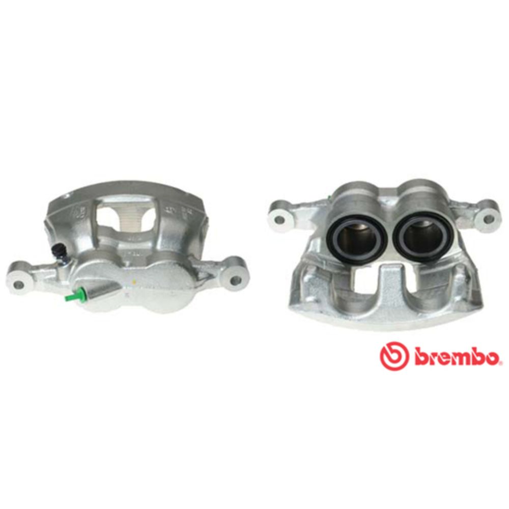 Jarrusatula 23-00960