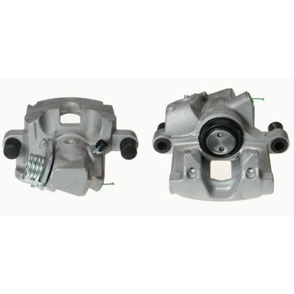 Jarrusatula 23-00291