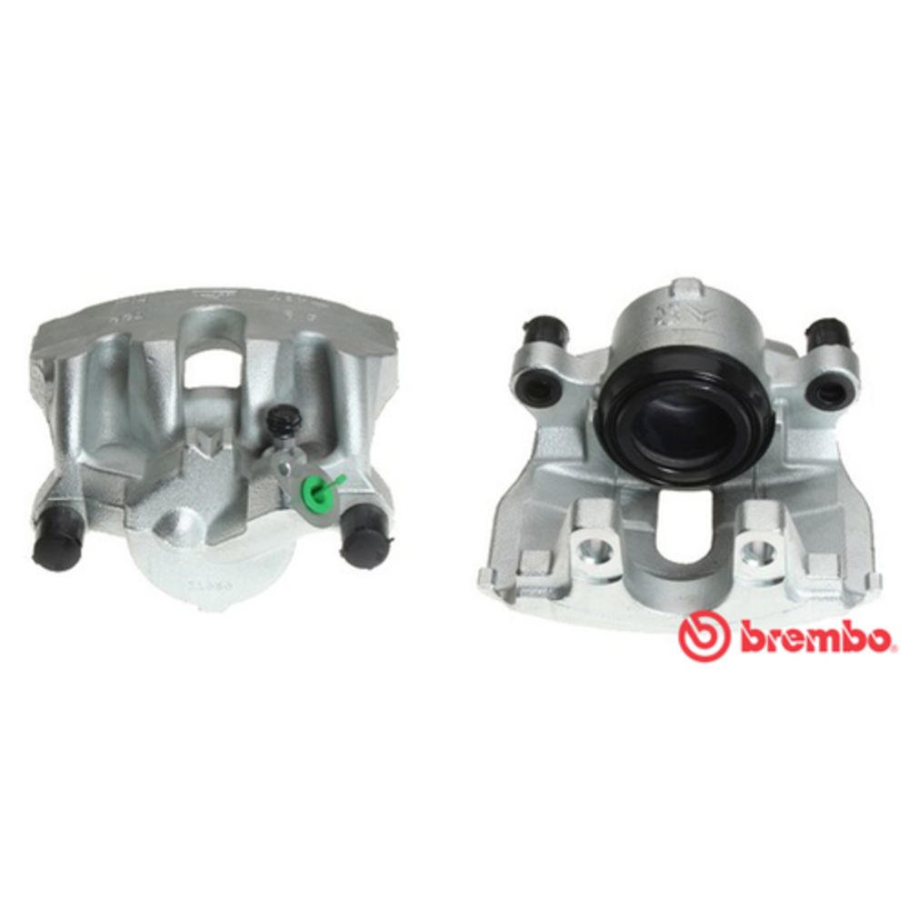 Jarrusatula 23-01175