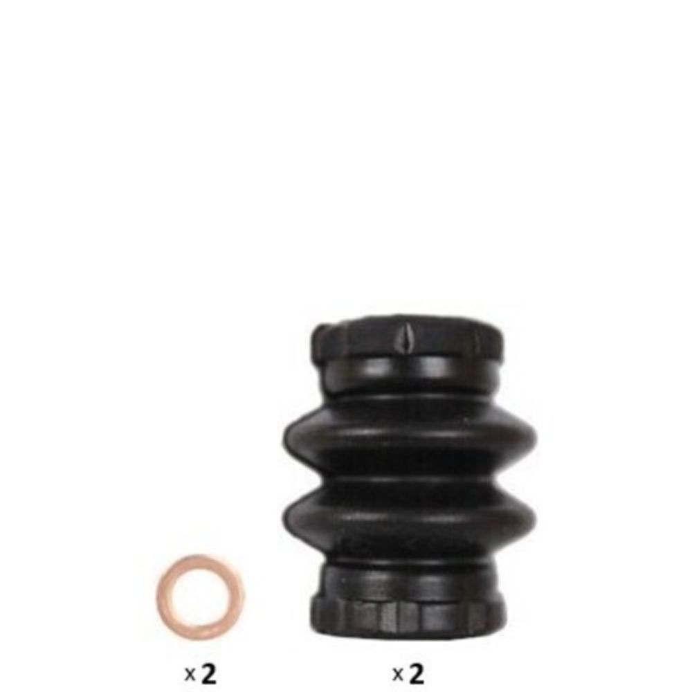 Jarrusatula 23-00560