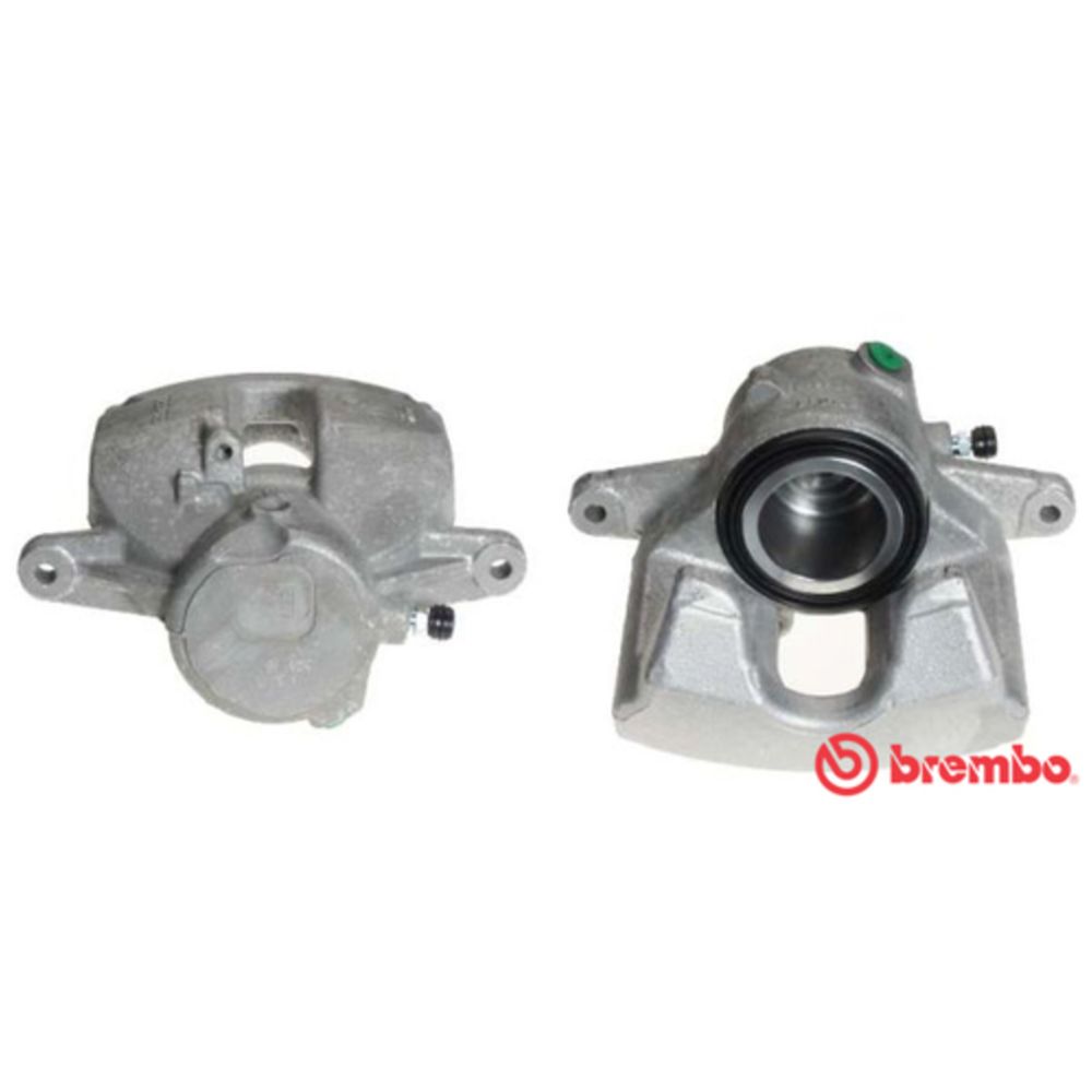 Jarrusatula 23-00984