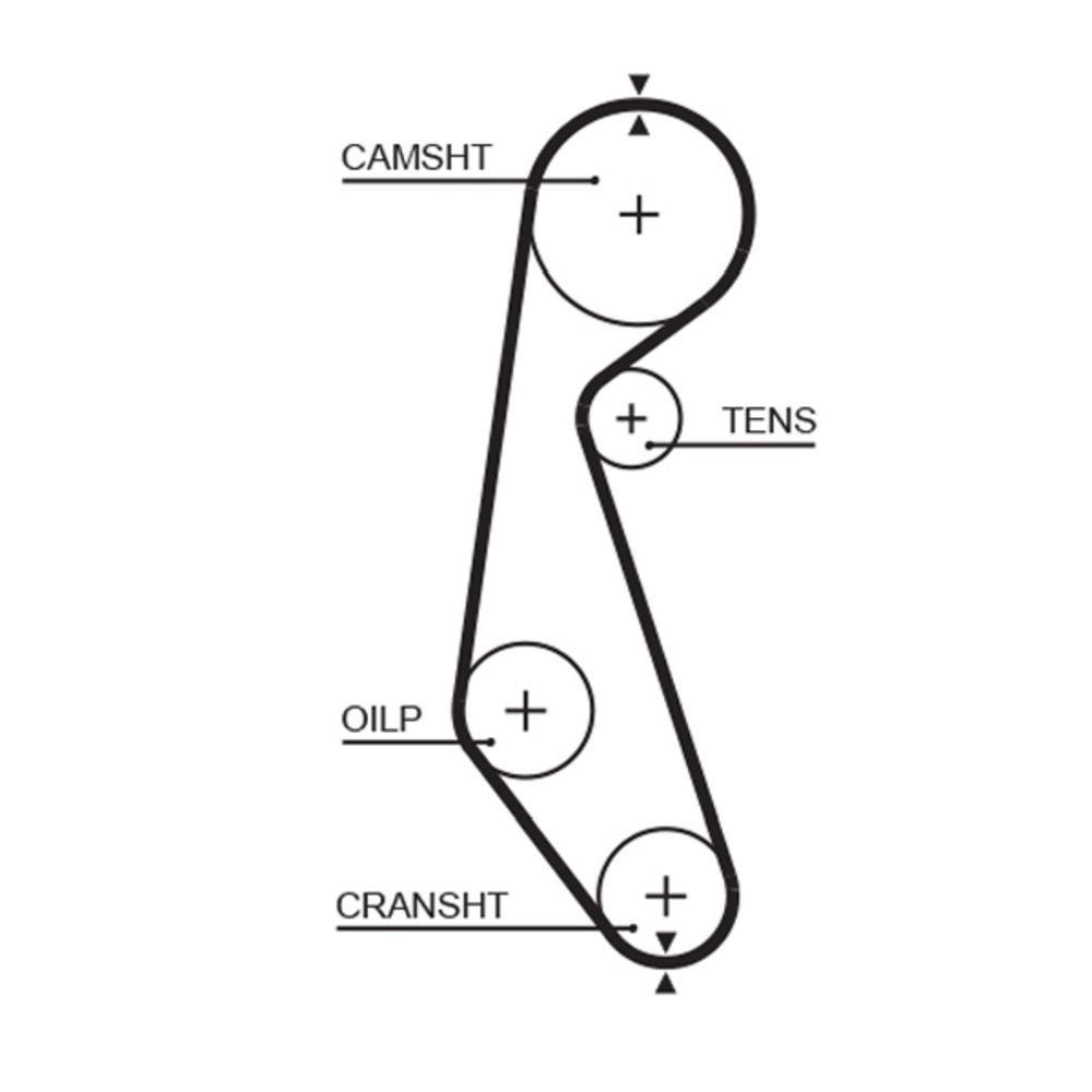 Kuggrem 25-5022