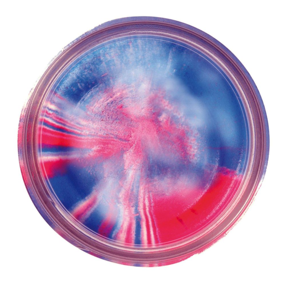 Berkley PowerBait® Glitter Trout syöttitahna valkoinen glitter 50 g