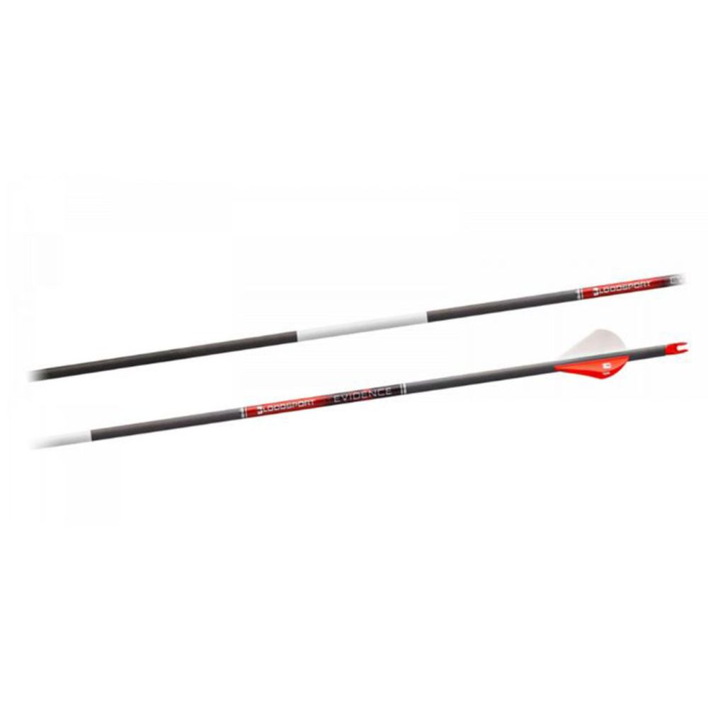 Bloodsport Evidence hiilikuitunuoli Spine 300, mikro halkaisija, 12 kpl