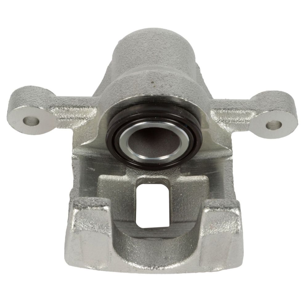 Jarrusatula 23-00696