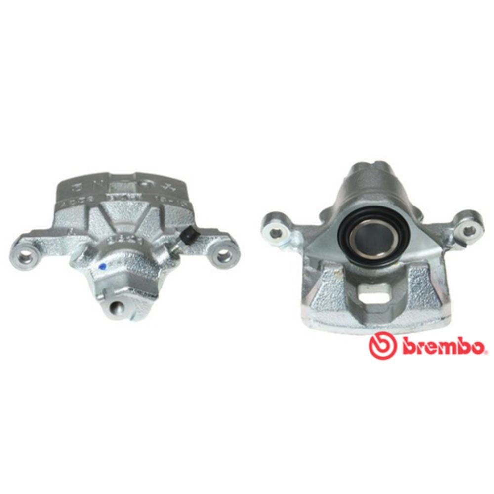 Jarrusatula 77-03017