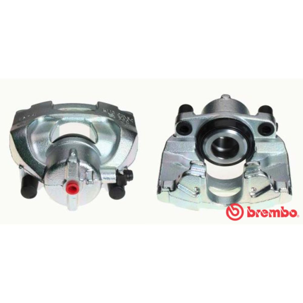 Jarrusatula 23-00196