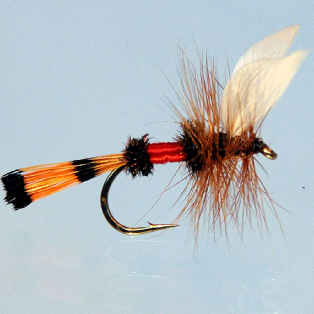 MTX Fishing Dries I pintaperholajitelma koko 8 kpl