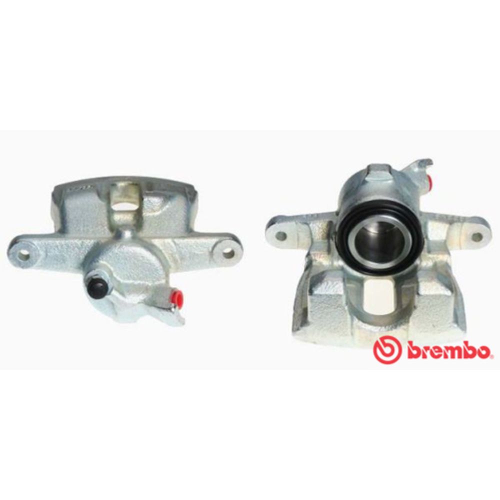 Jarrusatula 77-00671