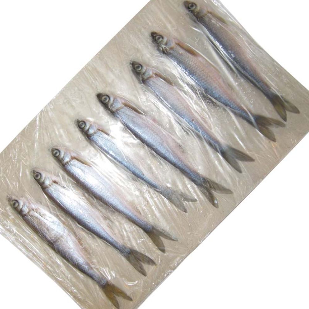 Täkysyötti