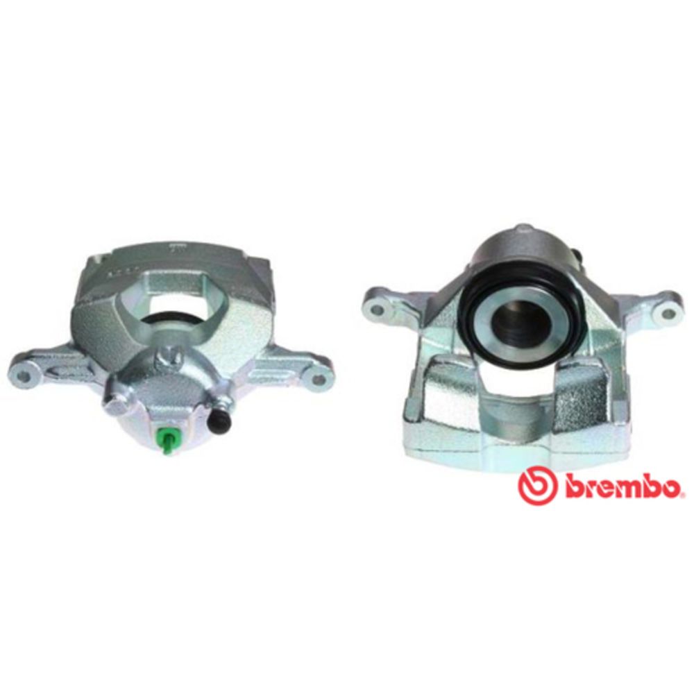 Jarrusatula 23-00270