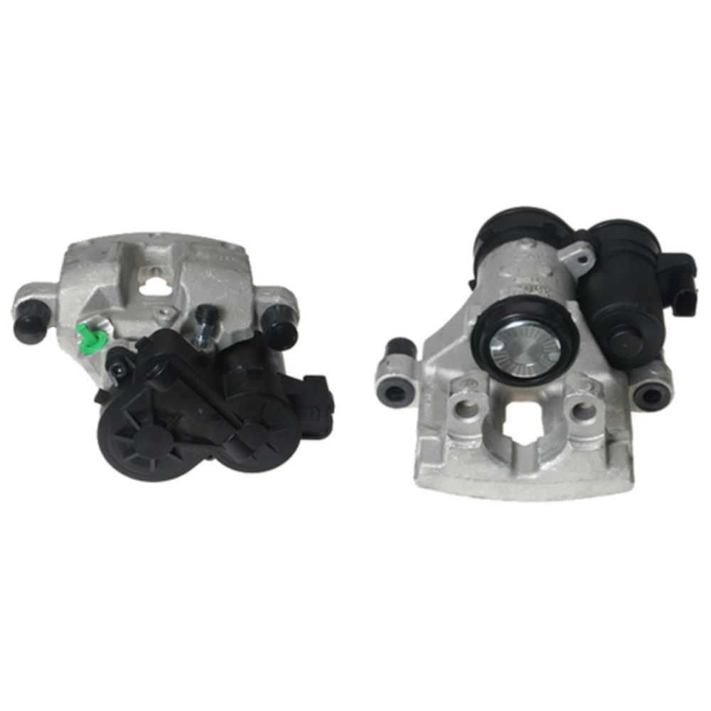 Jarrusatula 23-00907