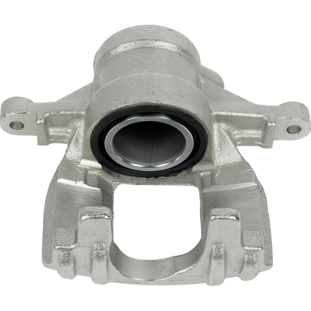 Jarrusatula 23-02672