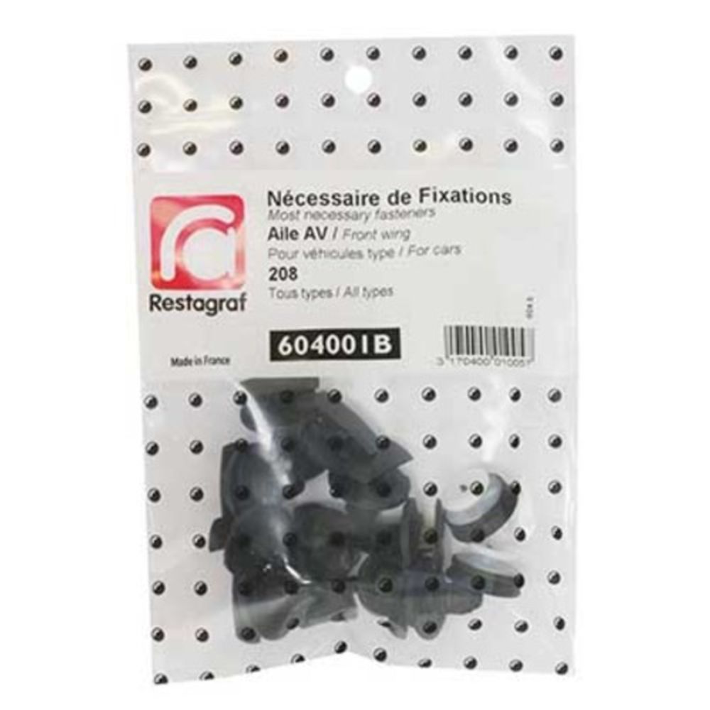 Kinnituskomplekt Peugeot poritiib 604001B 13 osa