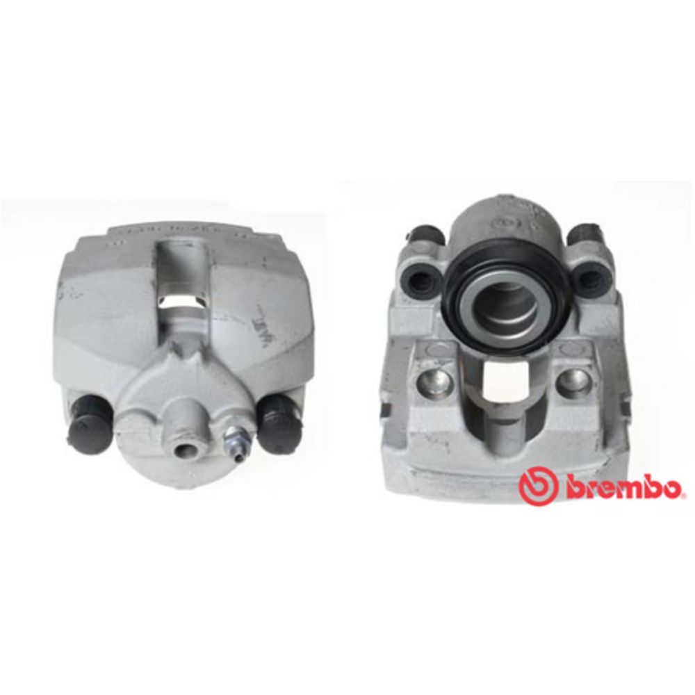 Jarrusatula 23-01110