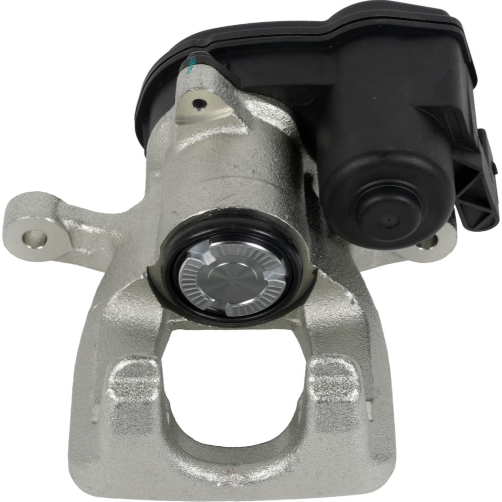 Jarrusatula 23-02697