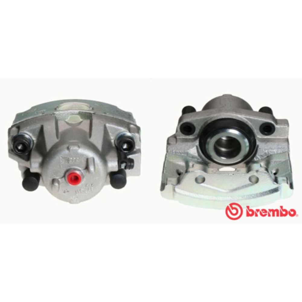 Jarrusatula 23-00208